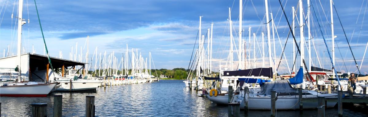 8-View2023-DockBar-mainPg